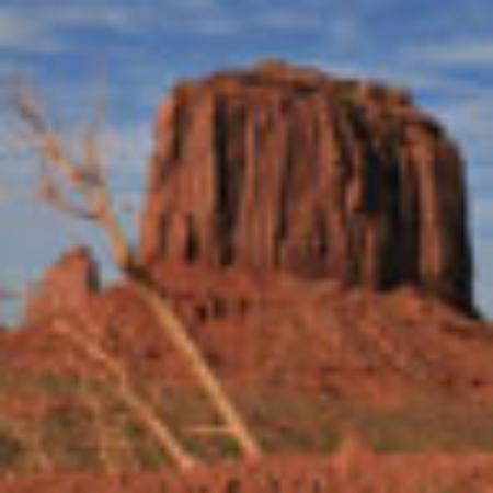 Roy Rogers Restaurant